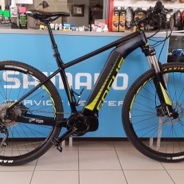 Focus Jarifa I29