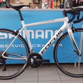 Focus Izalco Race