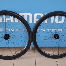 Giant P-R1 Disc